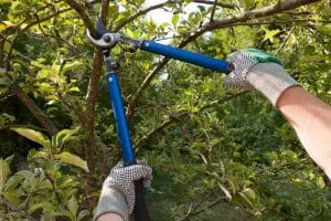 A person holding an electric pruning shears in their hand.