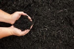 A person holding their hands over black mulch.